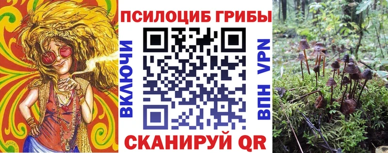 Купить где  Покачи  Псилоцибиновые грибы Psilocybe 